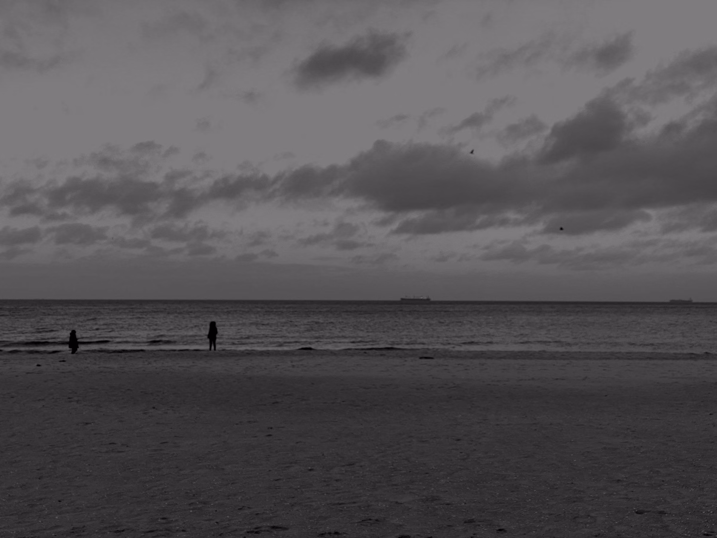 A wide, empty sandy beach and the Baltic under a soft evening sky.