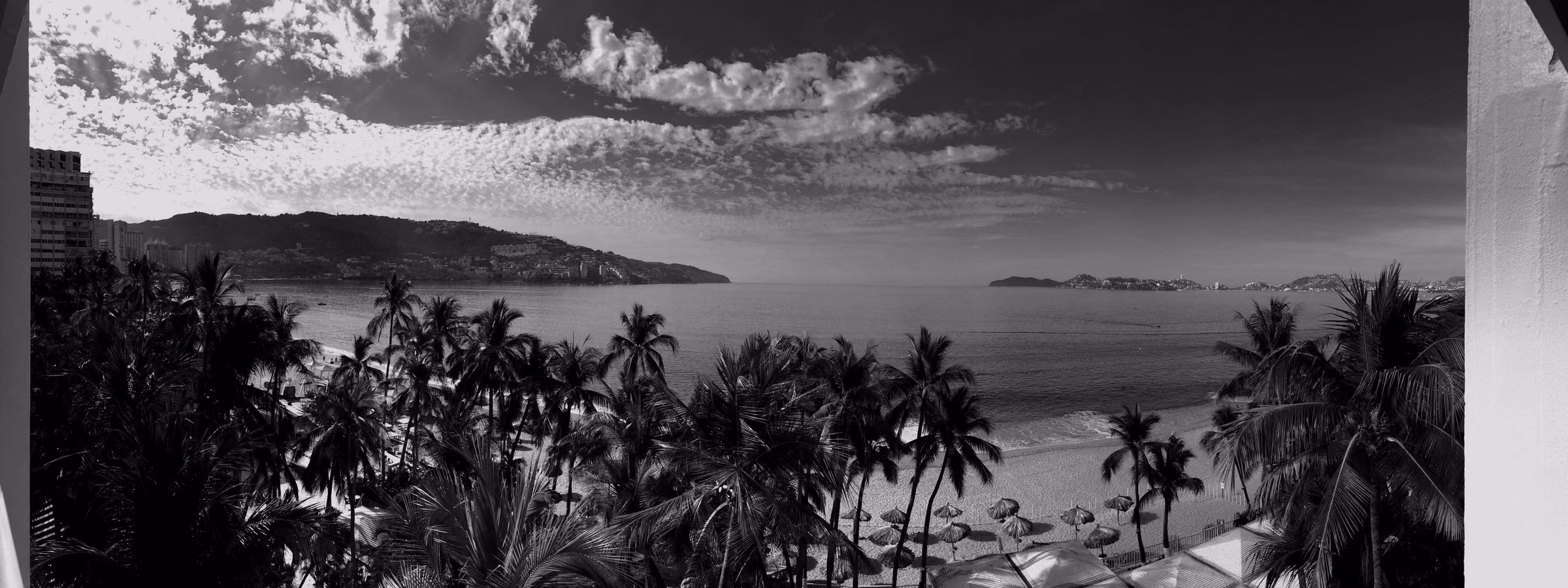 A wide view of the bay and coastline in Acapulco with palm trees in the foreground.