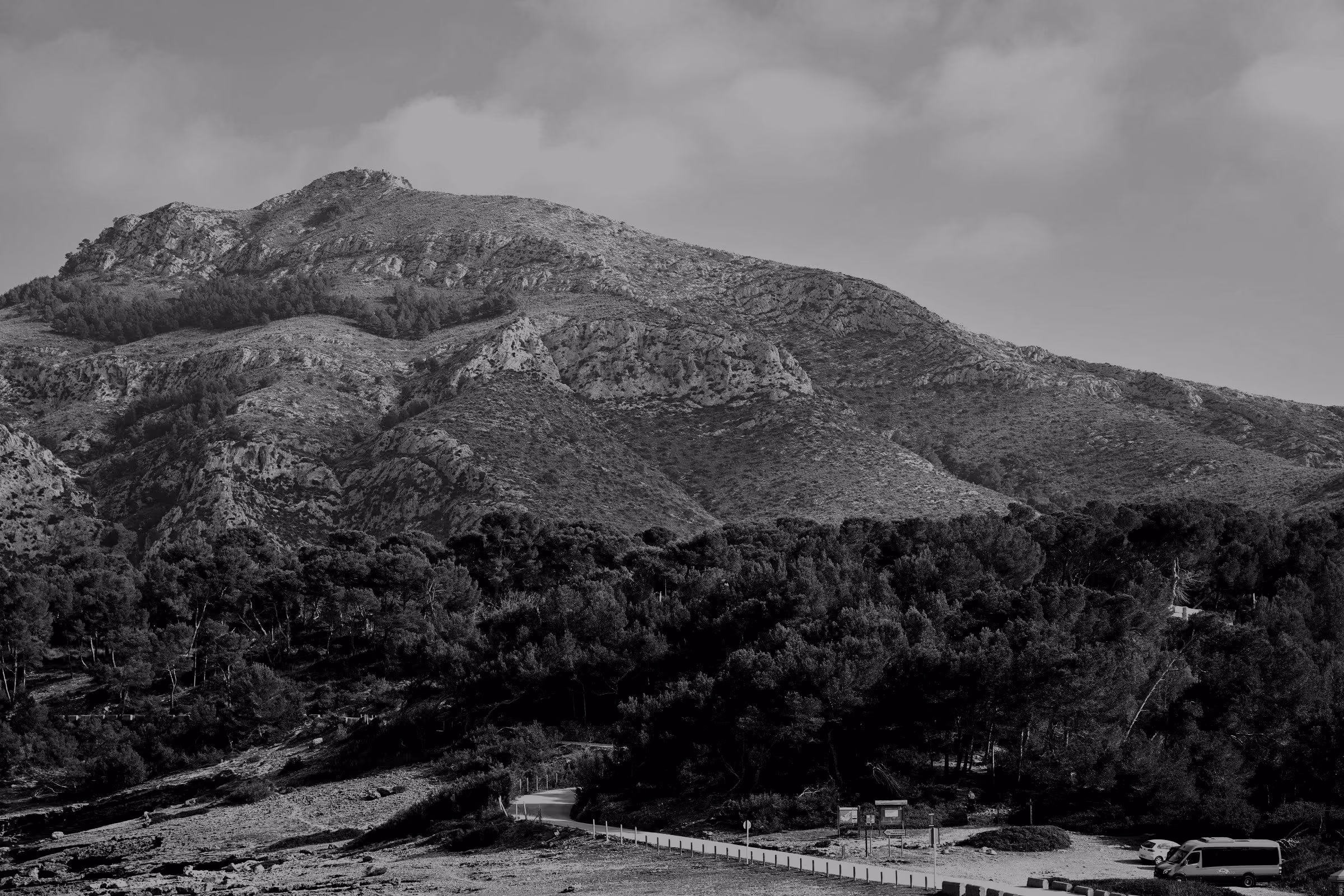 A wide view of the Talaia d'Alcúdia mountain and surrounding pine forest in Mallorca.