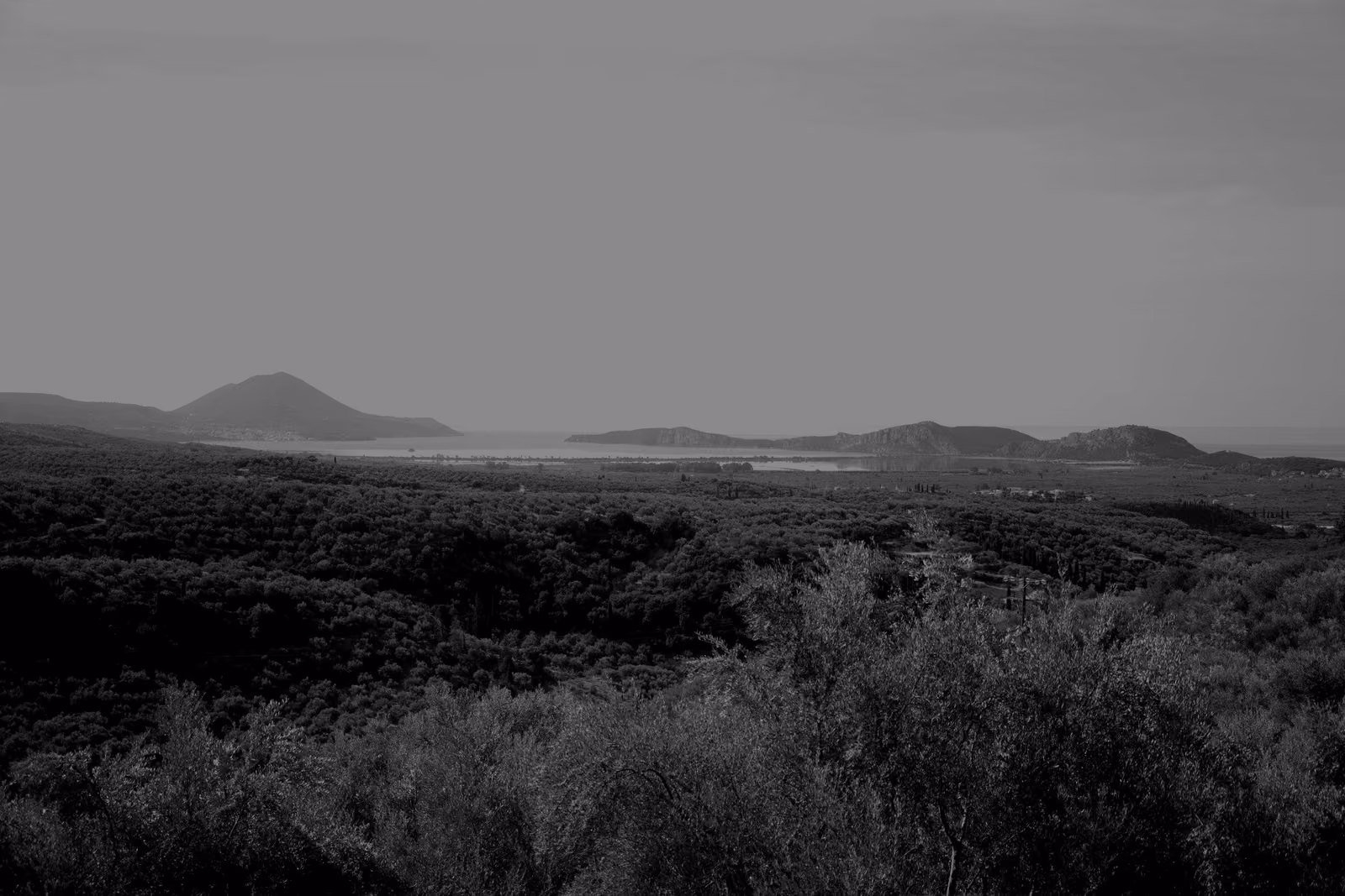 A wide view of Navarino Bay with hills and coastline in the distance.