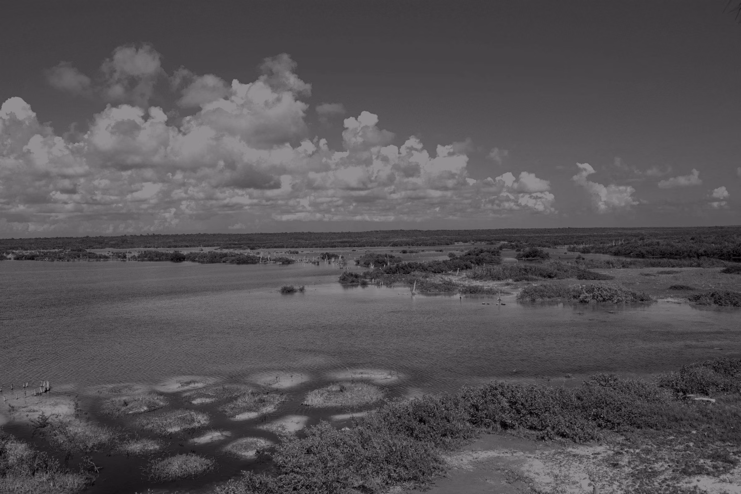 A wide view of wetlands and water under a blue sky with white clouds.