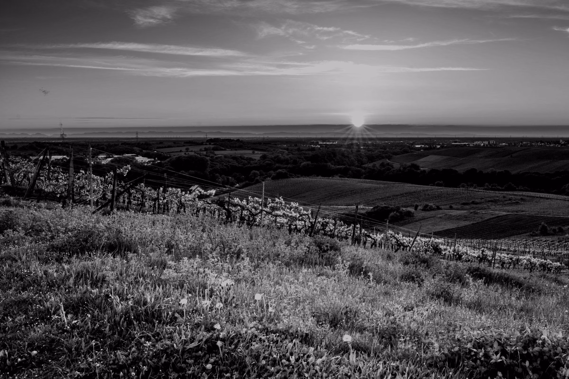 Sunset over the rolling hills of the Kraichgau at Rauenberg.