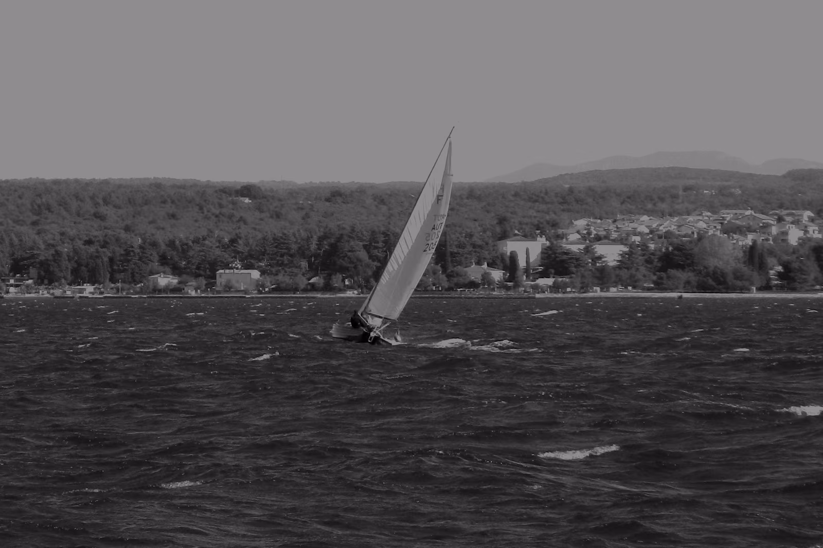 A sailing boat heeled over on choppy blue water off Poreč, Croatia, with the wooded Istrian shoreline and coastal buildings behind.