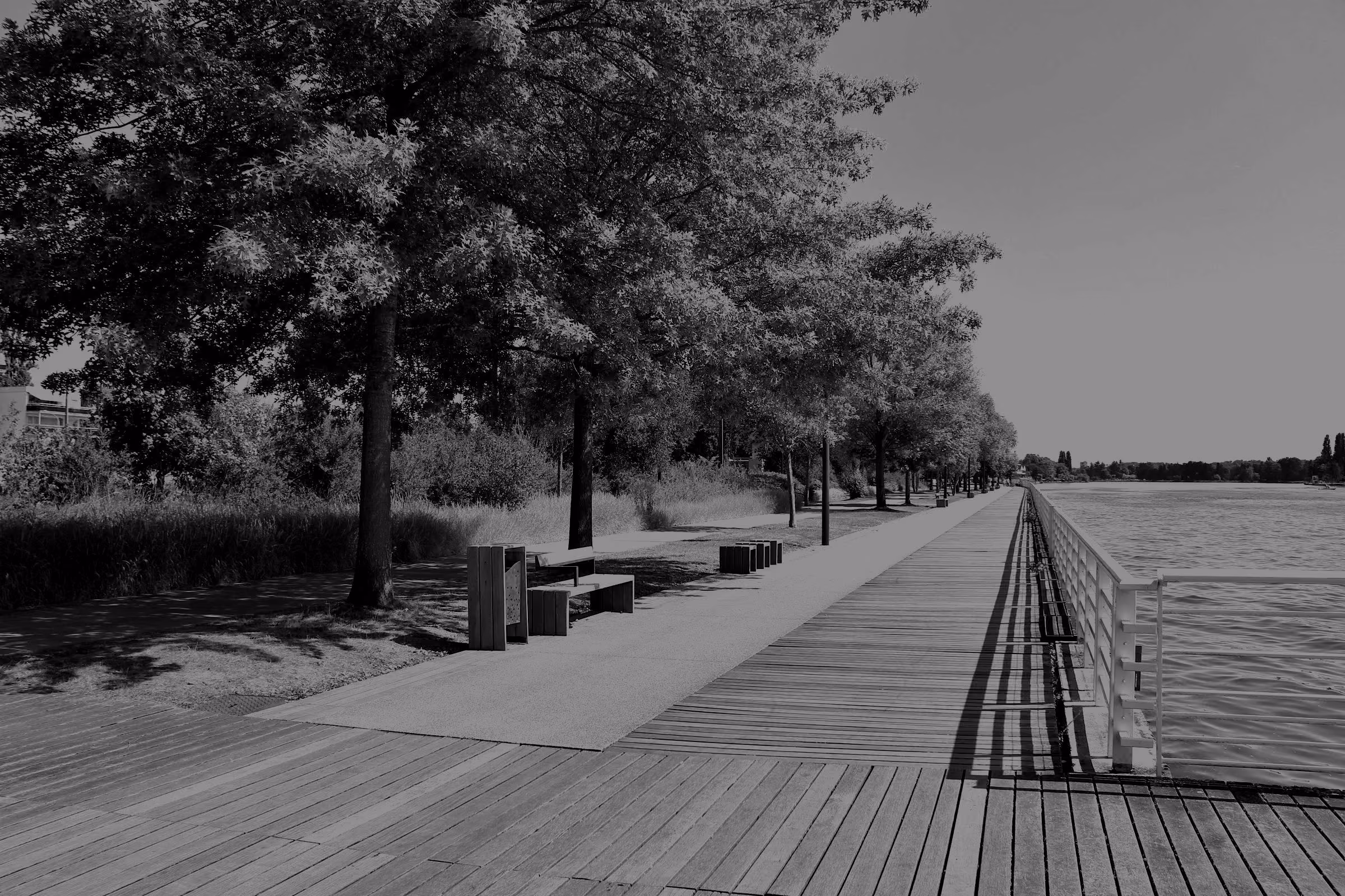 The tree-lined Lac d'Allier esplanade beside calm water in Vichy.