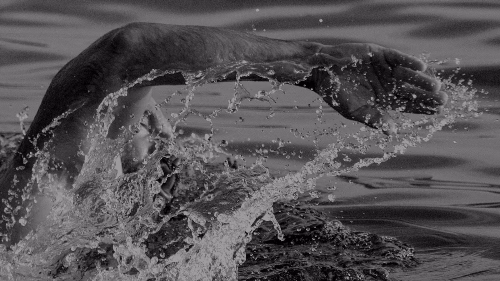A swimmer's arm breaking the surface of open water